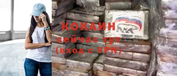 индика Сосновый Бор