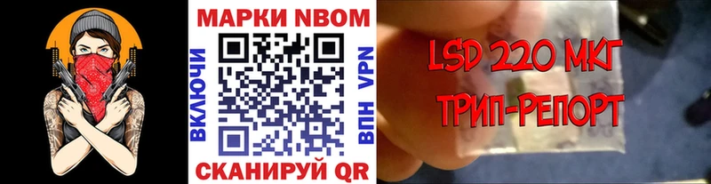 Наркотические марки 1,8мг  как найти закладки  Камешково 