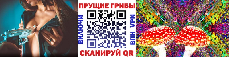 закладка  кракен вход  Галлюциногенные грибы мицелий  Камешково 